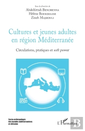 Cultures Et Jeunes Adultes En Région Méditerranée ; Circulations, Pratiques Et Soft Power