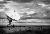 Cultures In Orbit
