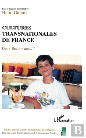 Cultures Transnationales De France ; Des Beurs Aux