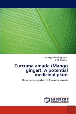 Bertrand.pt - Curcuma Amada (Mango Ginger)