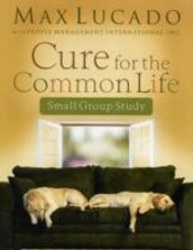Cure For The Common Life Workbook