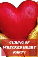 Curing Of Wrecked Heart Part 1