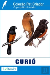 Curió