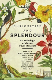 Curiosities And Splendour