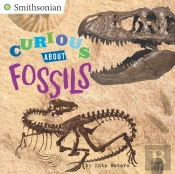 Curious About Fossils