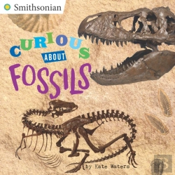 Bertrand.pt - Curious About Fossils