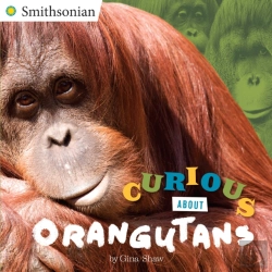Bertrand.pt - Curious About Orangutans