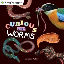 Bertrand.pt - Curious About Worms