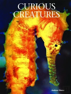 Bertrand.pt - Curious Creatures