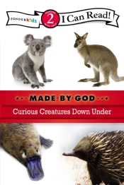Curious Creatures Down Under
