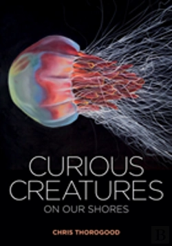 Bertrand.pt - Curious Creatures On Our Shores