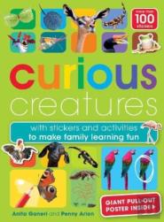 Curious Creatures