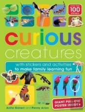 Curious Creatures