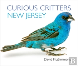 Bertrand.pt - Curious Critters New Jersey