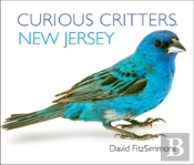 Curious Critters New Jersey