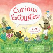 Curious Encounters