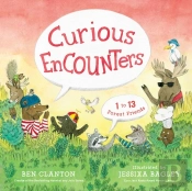 Curious Encounters