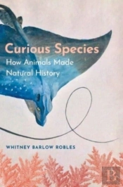 Curious Species