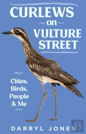 Curlews On Vulture Street