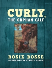 Curly, The Orphan Calf
