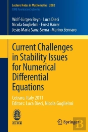 Current Challenges In Stability Issues For Numerical Differential Equations