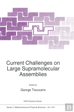 Bertrand.pt - Current Challenges On Large Supramolecular Assemblies