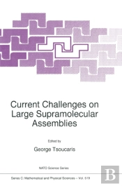 Current Challenges On Large Supramolecular Assemblies