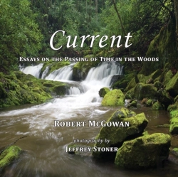 Bertrand.pt - Current