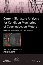 Current Signature Analysis For Condition Monitoring Of Cage Induction Motors
