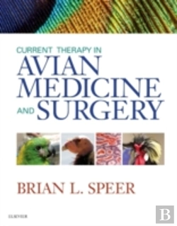 Bertrand.pt - Current Therapy In Avian Medicine And Surgery
