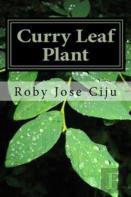 Curry Leaf Plant