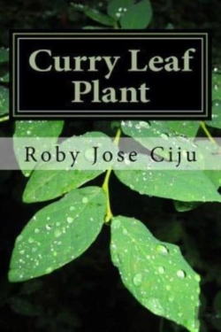 Bertrand.pt - Curry Leaf Plant