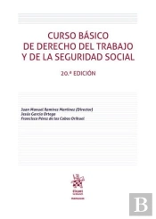 Curso Basico De Derecho Del Trabajo Y De La Seguridad Social