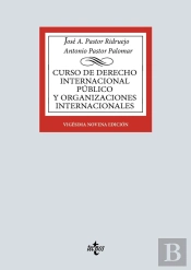 Curso De Derecho Internacional Publico Y De Organizaciones Internacionales