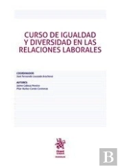 Curso De Igualdad Y Diversidad En Las Relaciones Laborales