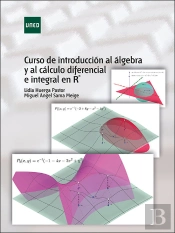 Curso De Introducción Al Álgebra Y Al Cálculo Diferencial E Integral En R^N