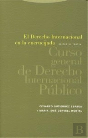 Curso General Derecho Internacional Publico Rtca