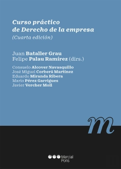 Bertrand.pt - Curso Practico De Derecho De La Empresa (4ª Ed.)