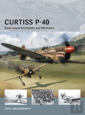 Curtiss P-40