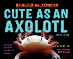 Bertrand.pt - Cute As An Axolotl