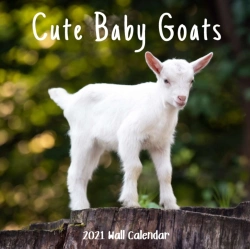 Bertrand.pt - Cute Baby Goats 2021 Wall Calendar