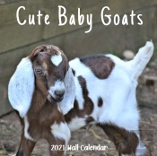 Cute Baby Goats 2021 Wall Calendar