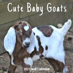 Bertrand.pt - Cute Baby Goats 2021 Wall Calendar