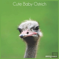 Bertrand.pt - Cute Baby Ostrich 2022 Calendar