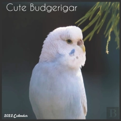 Bertrand.pt - Cute Budgerigar 2022 Calendar