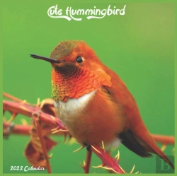 Bertrand.pt - Cute Hummingbird Calendar 2022