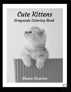 Bertrand.pt - Cute Kittens