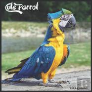 Cute Parrot 2022 Calendar
