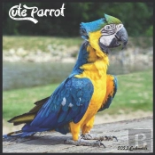 Cute Parrot 2022 Calendar