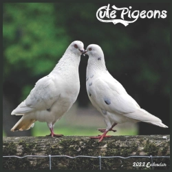 Bertrand.pt - Cute Pigeons 2022 Calendar